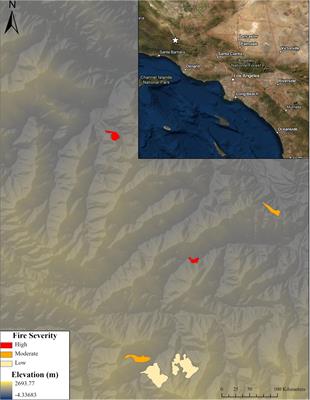 Restoring bigcone Douglas-fir post-fire in drought-stricken Southern California: Assessing the effects of site choice and outplanting strategies